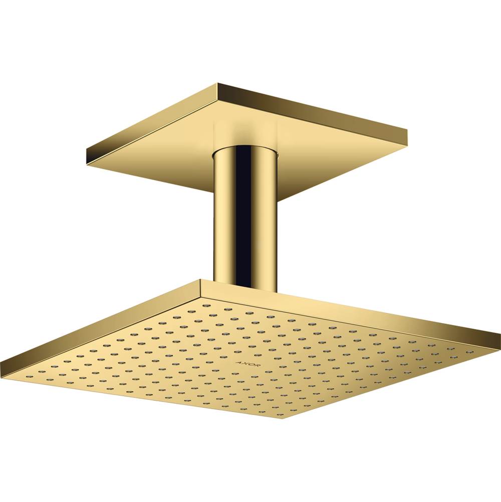 Axor ShowerSolutions Showerhead 250 Square 2-Jet Ceiling Connection, 2.5 GPM in Polished Gold Optic