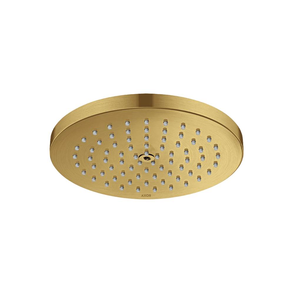 Axor ShowerSolutions Showerhead 180 1-Jet Powder Rain, 2.5 GPM in Brushed Gold Optic