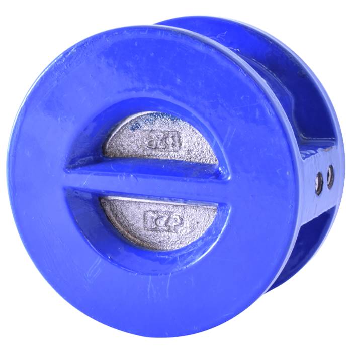 Legend Valve 2'' T-312 Ductile Iron Wafer Check Valve, Stainless Steel Disc
