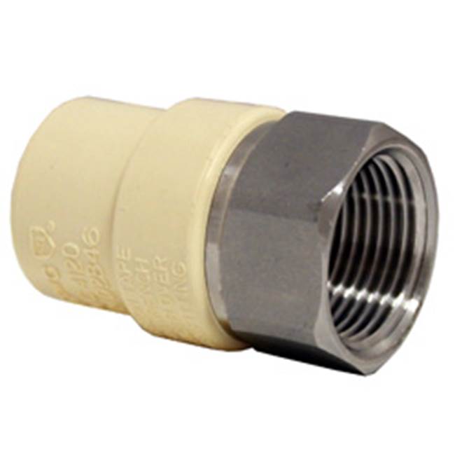 Westlake Pipes & Fittings 1/2 Ss Female Adapter