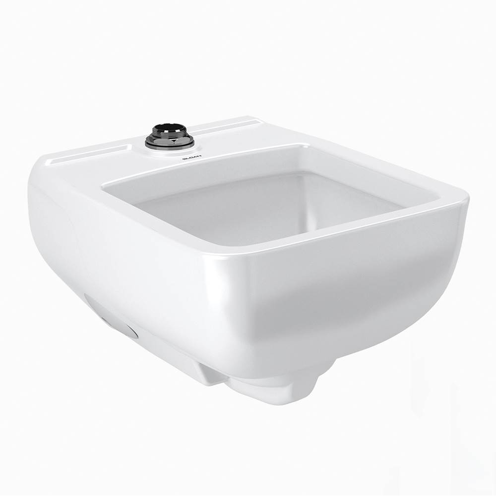 Sloan SS3200 WALL HUNG HEALTHCARE SERVICE SINK
